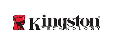 KINGSTON - Logo